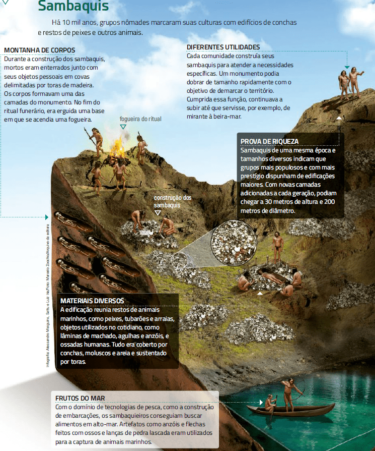 Infográfico Revista Nova Escola