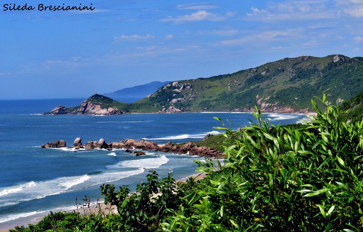 praia-mole-e-galheta-sileda-bresciani